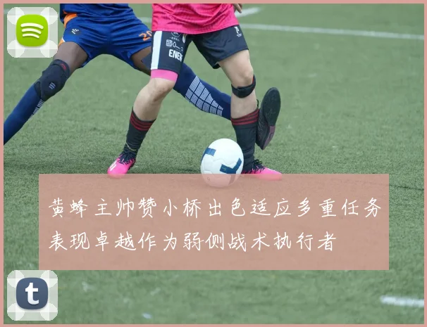黄蜂主帅赞小桥出色适应多重任务表现卓越作为弱侧战术执行者